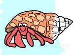 Hermit Crab Coloring Page